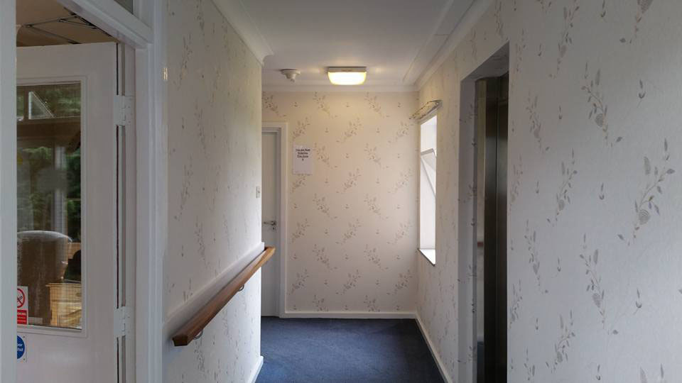 AP Bluck Painting & Decorating